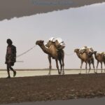 Etiopia - Dancalia: Le ultime carovane del sale