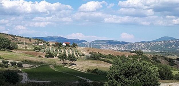 CaraTerraLucana Peperoni cruschi, Sottoli, Condimenti, Marmellate BASILICATA