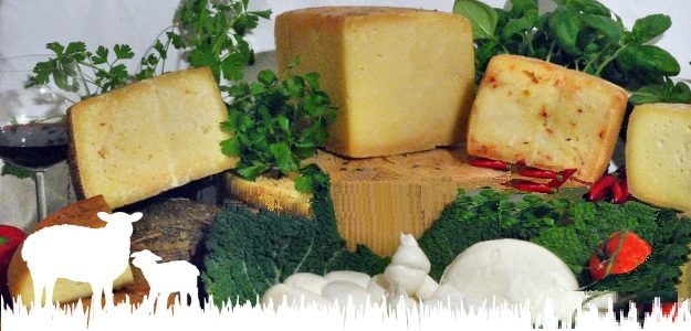 Milk Coop * * * Pecorino Bagnolese Caprino Vaccino CAMPANIA