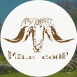 Milk Coop * * * Pecorino Bagnolese Caprino Vaccino CAMPANIA
