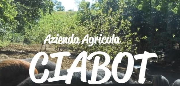 Ciabot Az. Agricola Salumi, Conserve, Vini, Confetture, Cosmetici PIEMONTE