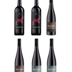 Vini DOC Piemonte Super prodotti da Poderi dù Suldà