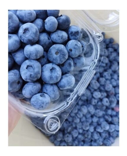 Mirtilli blu bio surgelati ricchi di antiossidanti, prodotto di eccellenza dell'Azienda Agricola Mirbì